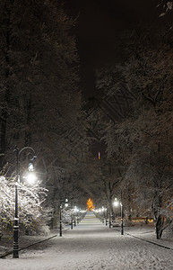 在利沃夫市中心乌克兰的IvanFranko公园走道和远处照亮VysokyjZamok高堡电视塔图片