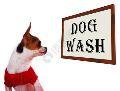 狗狗洗漱标志显示狗狗洗漱或洗发水狗狗洗漱标志显示狗狗洗漱或洗发水图片