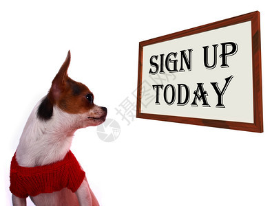 签署今天显示狗网站的注册图片