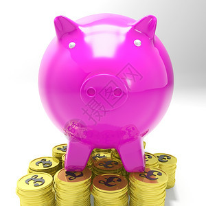 Pigbankoncoins展示英国投资和收入图片