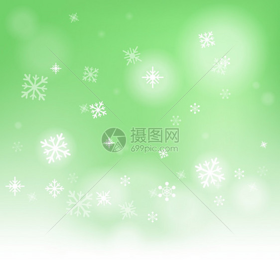 显示雪落或冬季时的花背景图片