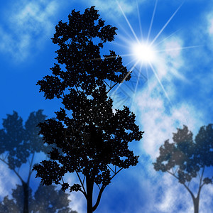 代表树干和环境的日落图片