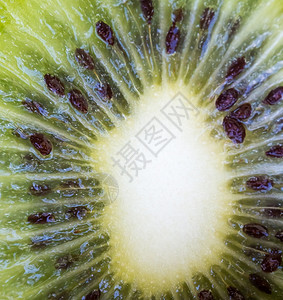 Kiwi水果展示热带自然和图片