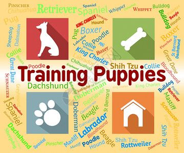 培训狗和技能背景图片