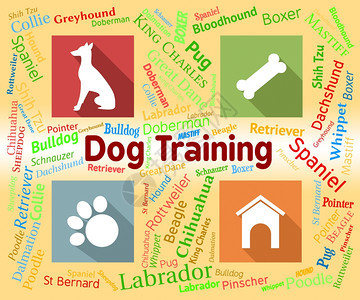 狗训练说明教育小狗和图片