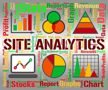 现场分析显示商业图表和Wwww图片