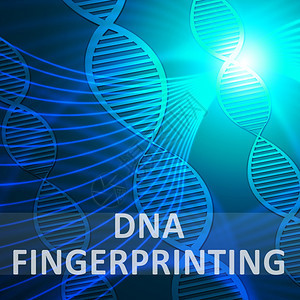 Dna指纹Helix意指基因图解3d说明图片
