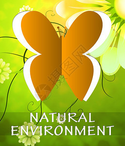 自然环境蝴蝶切除显示自然质3d说明背景图片