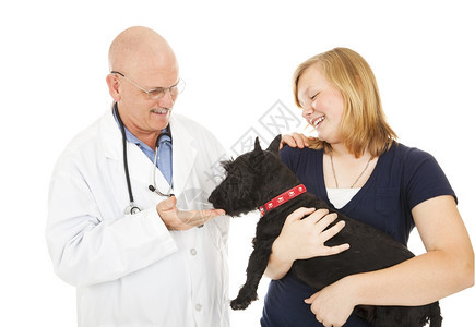 友善的兽医带着少女和她的斯考特狗孤立在白色上图片