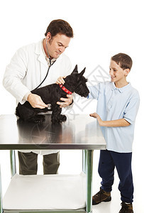 小男孩在兽医检查时宠爱他的狗孤立在白色上图片