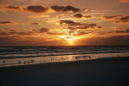 佛罗里达州西部墨哥湾日落的辉煌景象图片