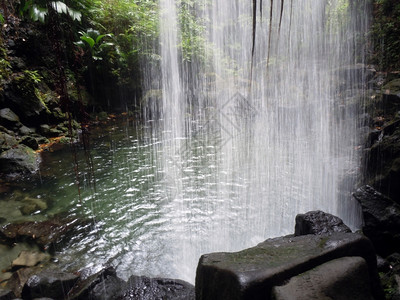 多米尼克岛雨林中的翡翠瀑布图片