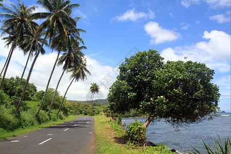 萨摩亚乌波卢岛海岸公路图片