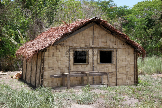 瓦努阿图森林附近的Woven小屋图片