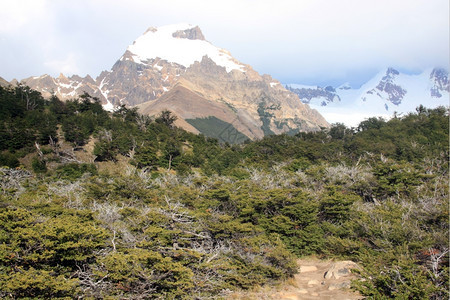 阿根廷ElChalten公园森林和山区图片