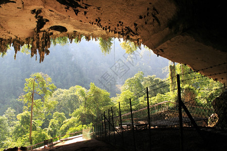 马来西亚婆罗洲尼公园洞穴中的铁丝栅栏图片