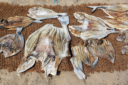 斯里兰卡海滩上的大干鱼图片