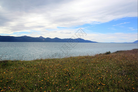 南阿根廷山区湖泊和鲜花图片