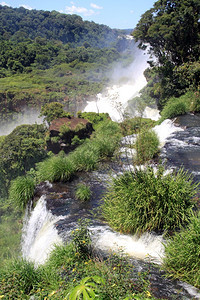 阿根廷Iguazu附近森林和河流图片