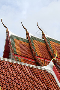 泰佛教寺庙的落叶图片
