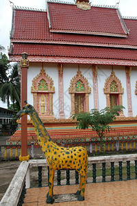 老佛教徒长颈鹿和老佛教徒的神像e老挝万象图片