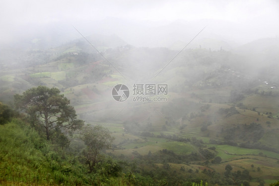 缅甸掸邦的田野树木和山丘图片