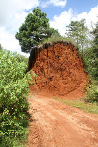 缅甸掸邦山丘和肮脏泥土路上的树木图片