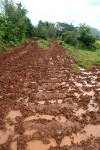 缅甸有水和竹林的肮脏道路图片