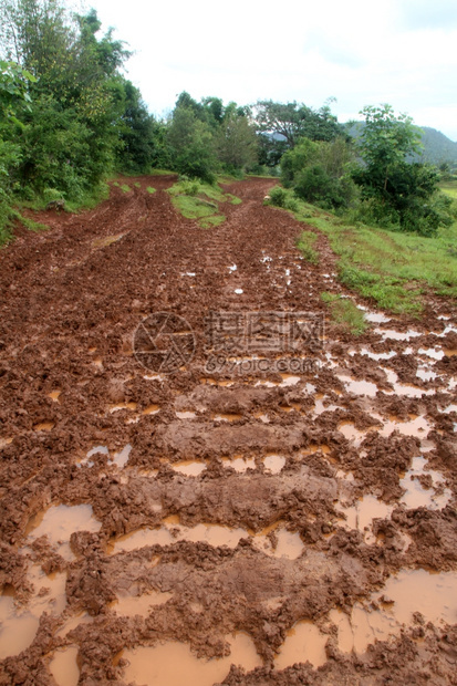 缅甸有水和竹林的肮脏道路图片
