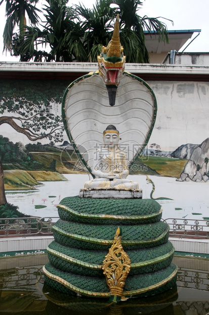 缅甸仰光佛教修道院和蛇纳加图片