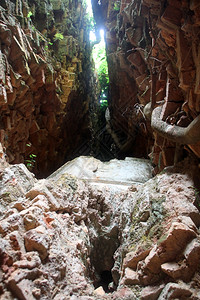 老挝西恩高广旧勃罗肯红地的树根图片