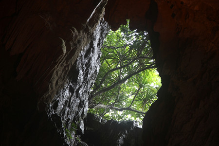 泰国哈隆湾ThiengKung洞穴入口处图片