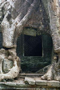 柬埔寨吴哥寺庙门和根柬埔寨吴哥图片