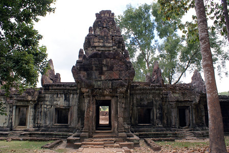 柬埔寨吴哥和树入口柬埔寨吴哥图片