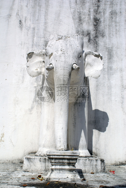 清迈泰国的石象图片
