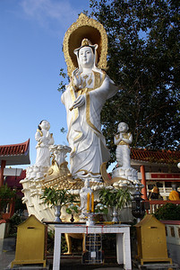 泰国塔顿佛教修道院的Bodhisattva图片