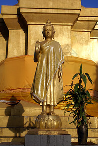 泰国塔顿修道院的金芽图片