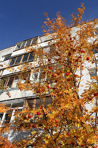 俄罗斯摩尔曼克旧公寓楼图片