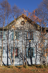 俄罗斯摩尔曼克旧木屋和树图片