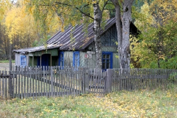 俄罗斯卡雷利亚市梅德韦兹谢戈尔斯克的木屋和树图片