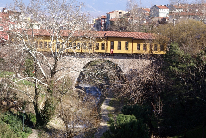 土耳其布尔萨的老土桥和树木