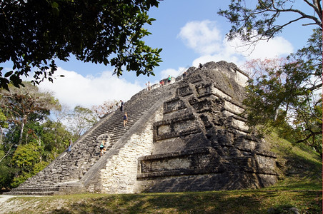 危地马拉提卡尔Tikal旅游客和森林的金字塔图片
