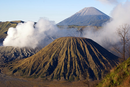 印度尼西亚爪哇卡代拉和树上的瓦卡诺火山图片
