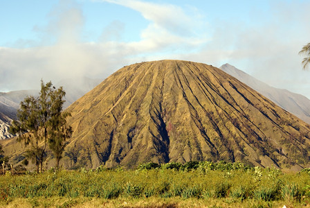 印度尼西亚爪哇火山和绿洋葱图片