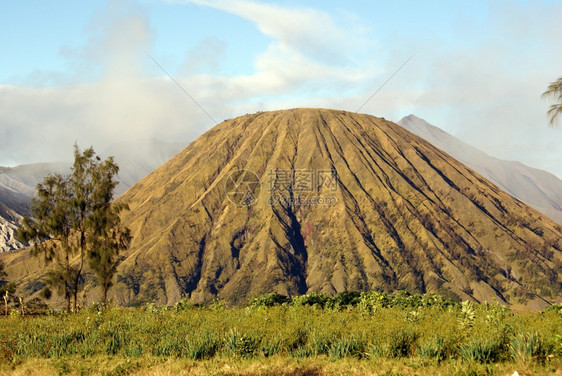 印度尼西亚爪哇火山和绿洋葱图片