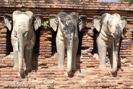 泰国苏霍大白象和红砖塔图片