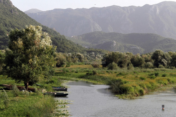 黑山斯卡达尔湖Virpazar的河流和船只图片