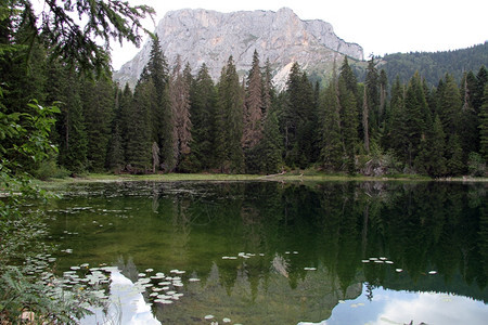 黑山Durmitor湖中的山峰和反射图片