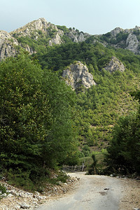 黑山区的树木和道路图片