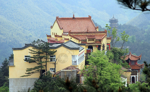 珠华山上的佛教寺庙和松树图片
